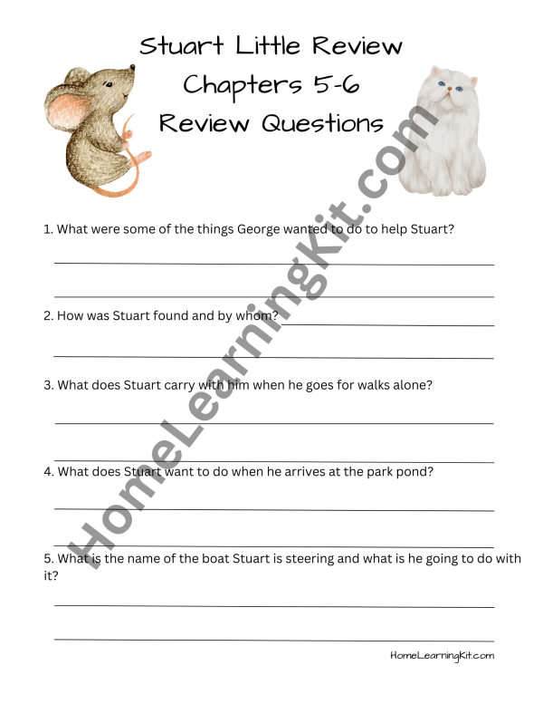Stuart Little Chapter Review